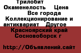 Трилобит Asaphus. Окаменелость. › Цена ­ 300 - Все города Коллекционирование и антиквариат » Другое   . Красноярский край,Сосновоборск г.